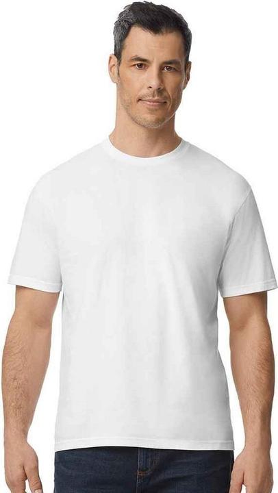 Actual product image Gildan Mens Plain Cotton Lightweight T-Shirt (XL)