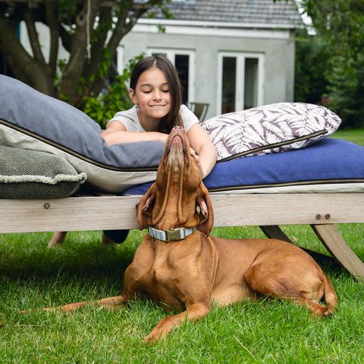 Actual product image Designed by Lotte Virante (M, L, Dog, Walks)