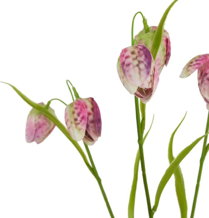 Immagine prodotto Hill Interiors The Natural Garden Collection Stelo di Fritillaria Fiore Artificiale (58 cm)