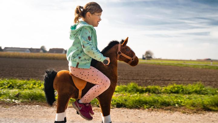 Image du produit Zoosy Cheval de selle taille M