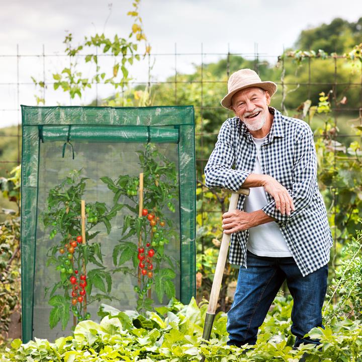 Actual product image Relaxdays Tomato greenhouse