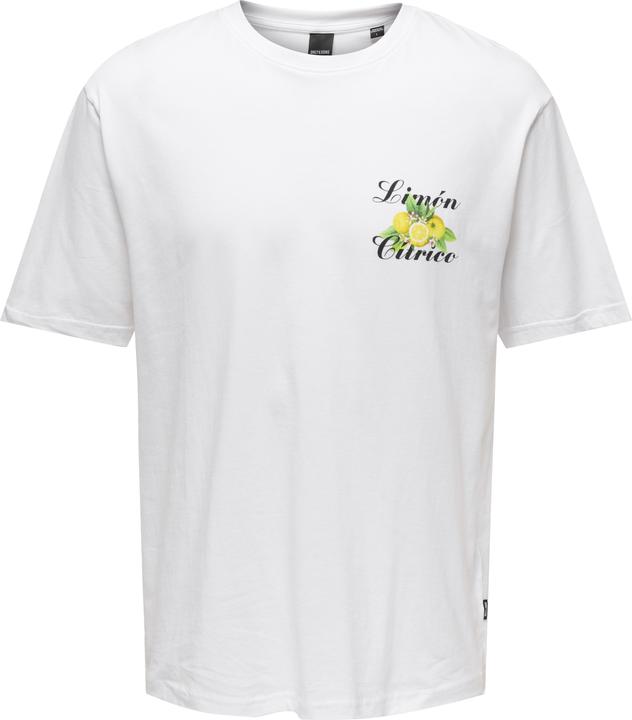 Only & Sons Onskeane Rlx Ss Print Tee Noos (XL)
