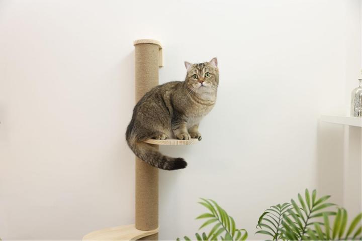 Actual product image Kerbl Timber scratching post for cats (127 cm, Light brown)