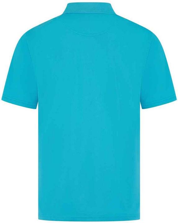 Immagine prodotto Henbury Maglietta Polo Uomo (4XL)