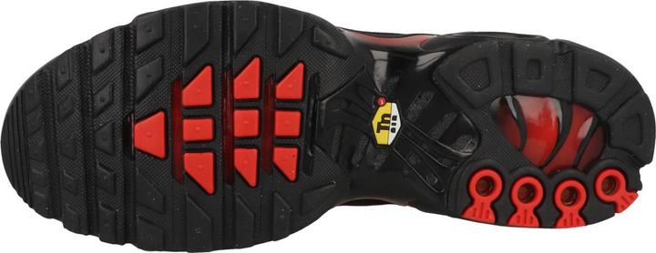 Actual product image Nike Air Max Plus (40)