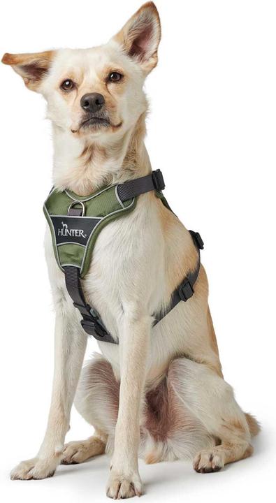 Produktbild Hunter Geschirr Divo (S, M, Hund, Hundesport)