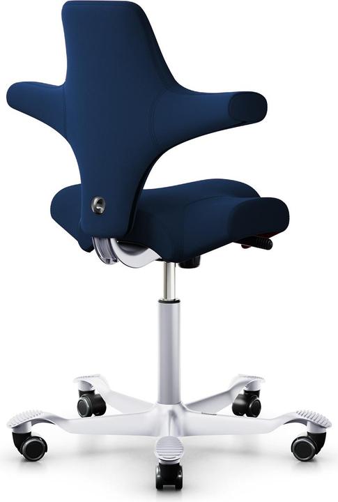 Actual product image HAG Capisco 8106