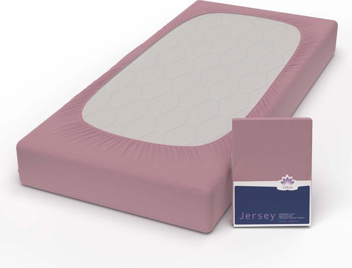 Actual product image Lotus Bettwaren Jersey Fix Comfort (160 x 200 cm, 140 x 200 cm, 140-160 x 200 cm)