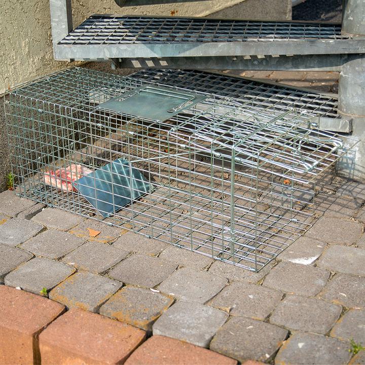 Produktbild Gardigo 2er-Set Marder Käfig Lebenfalle
