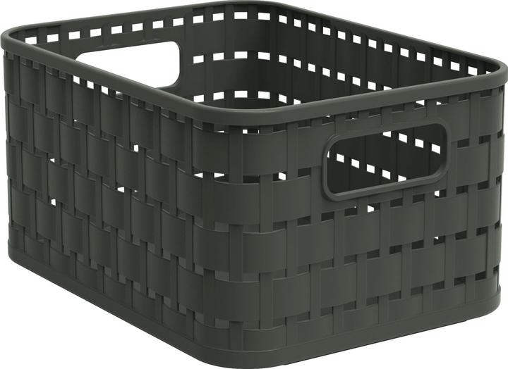 Immagine prodotto Rotho Cestino Country, A6 116670552 2l, Verde scuro foresta (1 x)