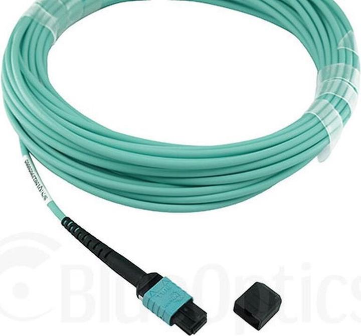 Actual product image BlueOptics Allied Telesis AT-MTP12-30 compatible MTP-MTP multimode OM3 patch cable 30 metres (CAT7a, 30 m)