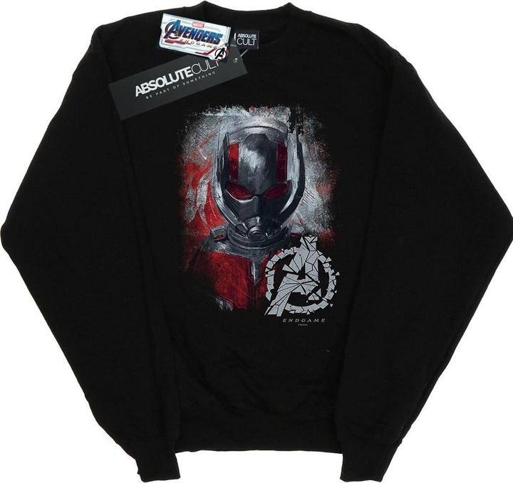 Actual product image Boys Avengers Endgame Ant-Man Brushed Sweatshirt (140, 146)