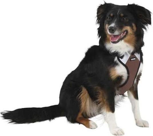 Immagine prodotto Kerbl Pulsivo (Cane, Sport cane)