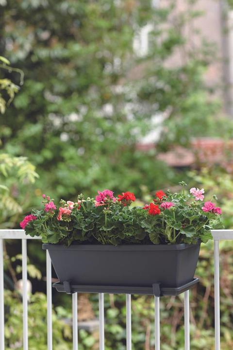 Image du produit Elho Bac à fleurs Barcelona L 90 cm anthracite (89.80 cm)