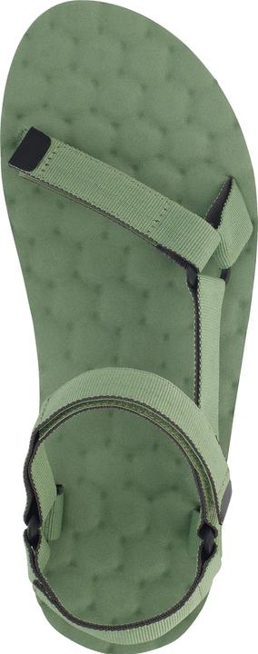Actual product image Lizard Trail (47)