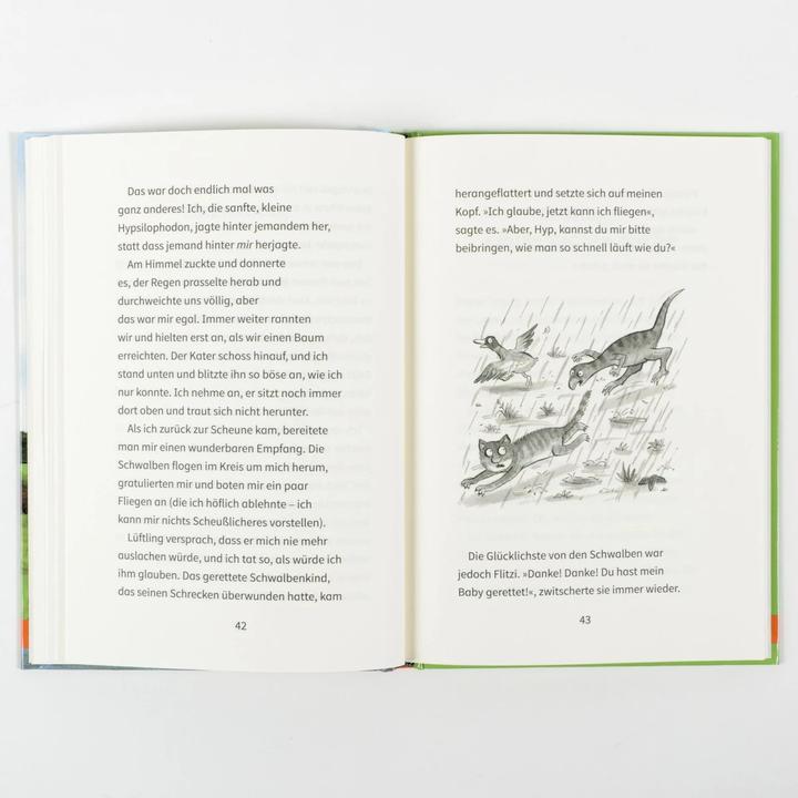 Produktbild Der kleinste Dinosaurier (Deutsch, Julia Donaldson, Axel Scheffler, Susanne Härtel, 2022)