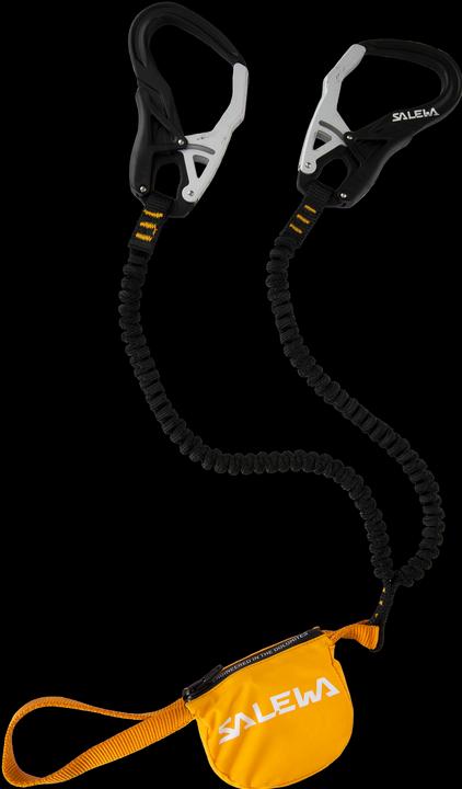 Salewa Ergo Core