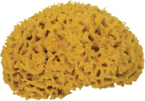 Immagine prodotto Marina Natura spugna (1 pz.)