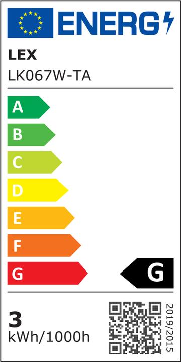 Energy Label Inda-Exclusiv XXL 100 LED fir garland fairy lights 810cm garland indoor and outdoor (8.10 m)