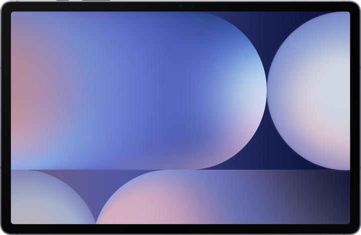 Samsung Galaxy Tab S10+ (nur WLAN, 12.40", 256 GB, Moonstone Gray)