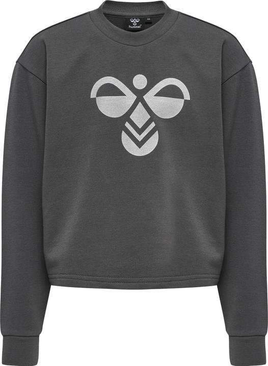 Image du produit hummel Sweat-Shirt Cinco (128)