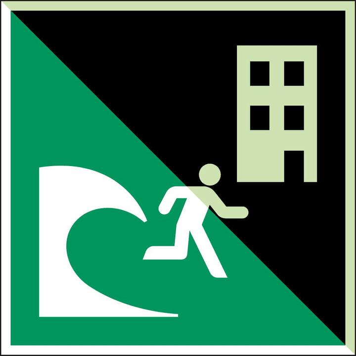 Immagine prodotto Brady Cartello di sicurezza ISO - Edificio per l'evacuazione degli tsunami