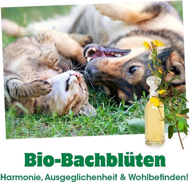 Produktbild cdVet Bio-Bachblüten Krawallmacher (Adult, 1 Stk., 60 g)