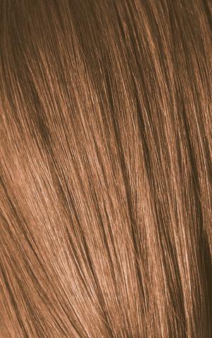 Actual product image Schwarzkopf Professional Igora Expert Mousse (100 ml, Foaming agent)