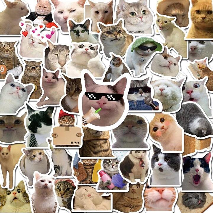 Immagine prodotto JTI Adesivi gatti - 50 pezzi