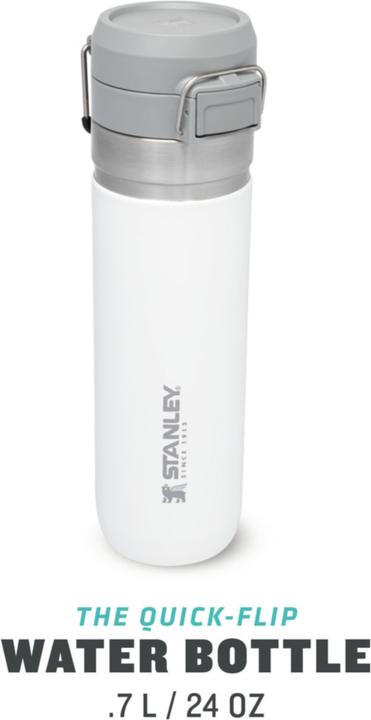 Immagine prodotto Stanley 1913 Bottiglia d'acqua Quick Flip (0.70 l)