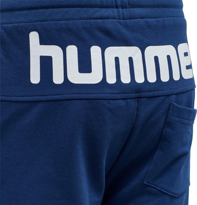 Image du produit hummel Flicker Shorts (116)