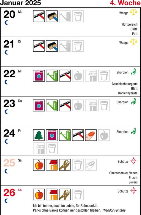 Energie-Label Taschenkalender Das Mondjahr (10 x 14 cm, Harter Einband, Deutsch)