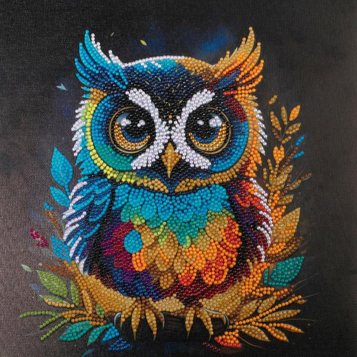 Image du produit Craft Buddy Hibou, 30x30cm Crystal Art Kit