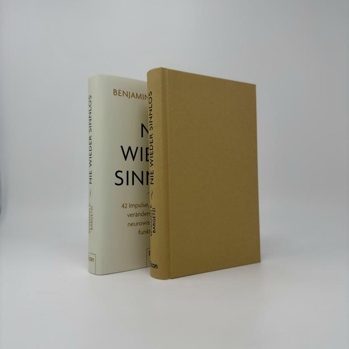 Produktbild Nie wieder sinnlos (Deutsch, Benjamin B. Bargetzi, 2025)