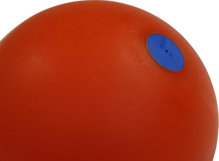 Immagine prodotto Trial Shock ball (3000 g)