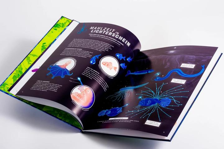 Immagine prodotto Glow – Das wundersame Leuchten der Natur (Tedesco, Jennifer N.R. Smith, 2023)