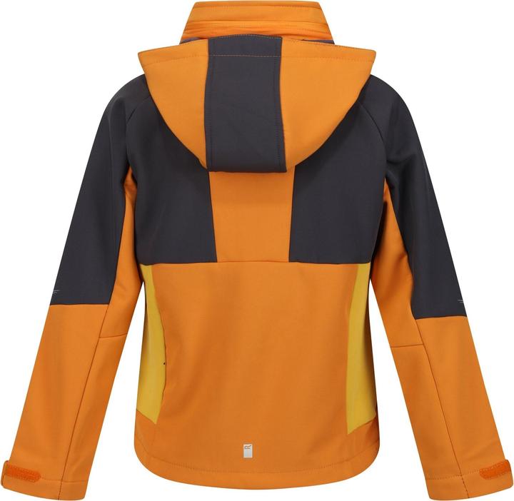 Produktbild Regatta Haydenbury Softshelljacke (128)