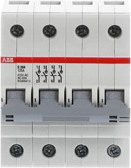 Immagine prodotto ABB E204/125G Sezionatore E204/125G