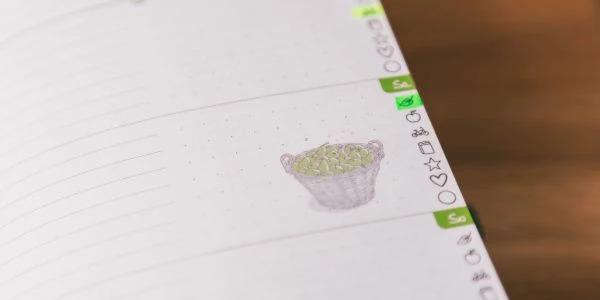 Actual product image Grüner Faden - annual planner, life planner, guidebook - sustainable ideas for the whole year (A5, German)
