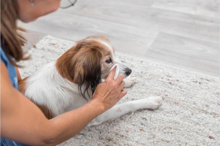 Produktbild Trixie Pflegetücher für die Augen (Hund, Katze)