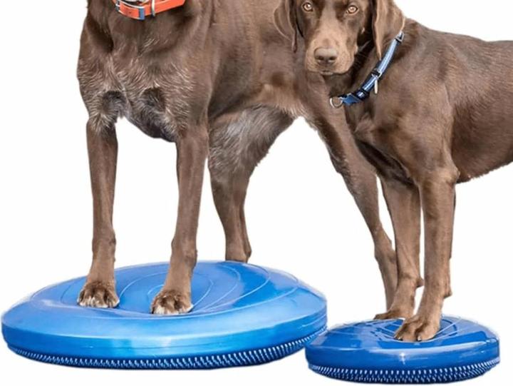 Image du produit FitPaws Balance Disk (Agility)