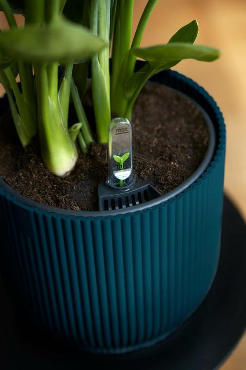 Produktbild Elho Vibes (25 cm)