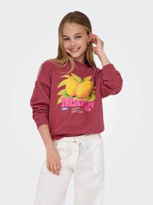 Produktbild Only KOGPHILEA Sweatshirt Sweatshirt (122)