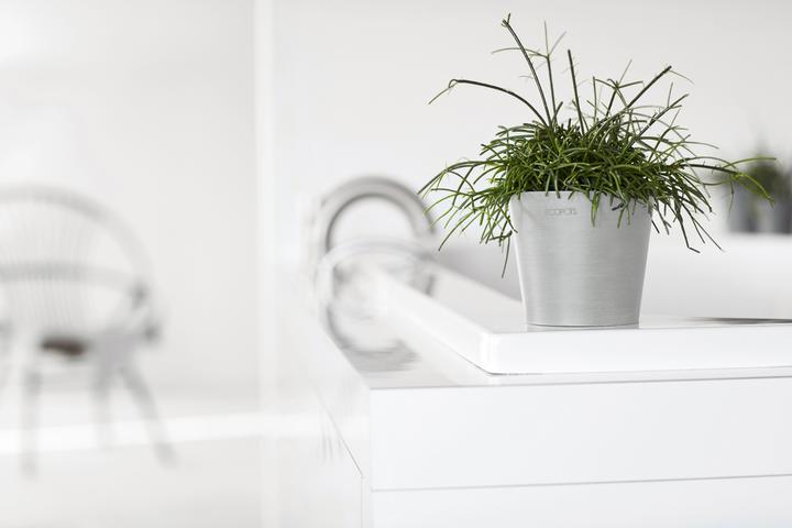 Actual product image Ecopots Amsterdam Mini (13 cm)