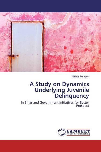 Produktbild A Study on Dynamics Underlying Juvenile Delinquency (Deutsch, Nikhat Perveen, 2017)
