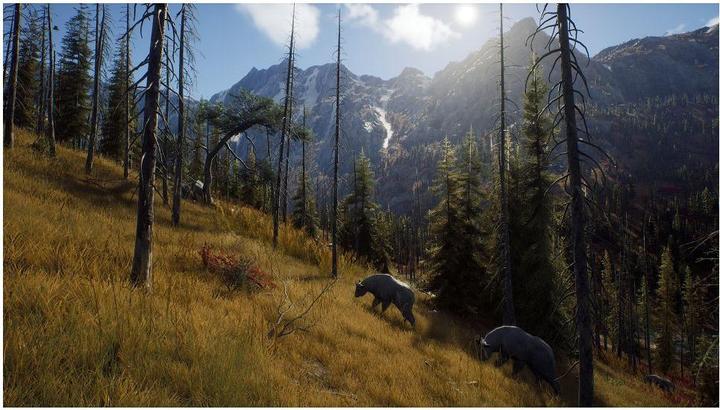 Immagine prodotto THQ La via del cacciatore: Caccia Stagione 1 PS-5 (PS5, DE)