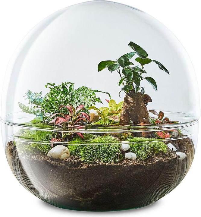 Image du produit Green Bubble Biosphère 3 (27.50 cm)