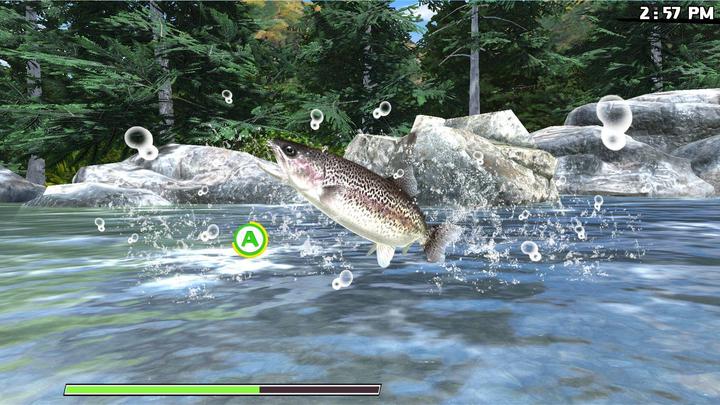 Produktbild Natsume Reel Fishing: Road Trip Adventure (Import) (PS4, EN, FR)