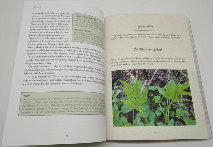 Image du produit Meine Wildkräuter (Allemand, Martina Fischer, Dorothea Steinbacher, 2023)