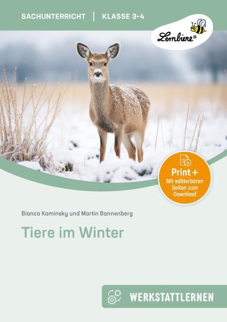 Actual product image Tiere im Winter. Grundschule, Sachunterricht, Klasse 3-4 (German, B. Kaminsky, Martin Bannenberg, 2024)